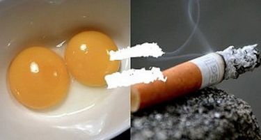 Докажано: Пушиш цигари или јадеш јајца, сеедно – холестеролот се зголемува