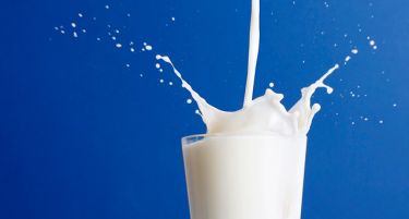Алармантни податоци: Афлатоксин пронајден и во млеката на Мегле, Имлек, и Нишка млекарa