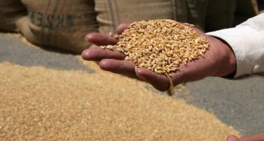 Недостиг на домашна пченица во Британија