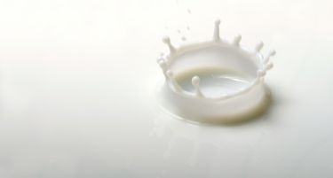 Субвенционирање на млекото по квалитет во новата програма за поддршка на земјоделството