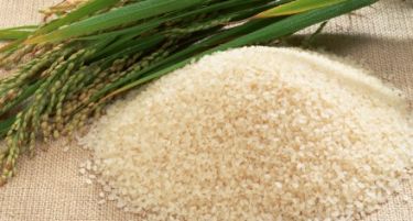 Оризопроизводителите протестираат, Министерството обвинува за дневна политика