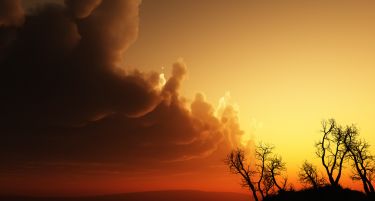 Пукни Зоро!