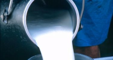 Србија го менува правилникот за млеко, ја зголемува дозволената количина афлатоксини