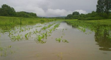 Димовски: Откако ќе се „исцедат“ нивите ќе се прави проценка на штетите од поплавите