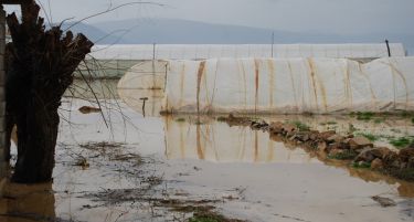 1.200 струмички земјоделци бараат проценка на штетите од поплавите