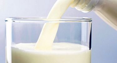 На 30- ти месецов истекува рокот за барање субвенции за продадено млеко