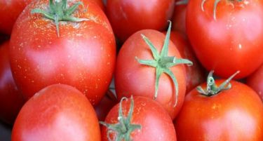 За доматите од бавча се токми декларација