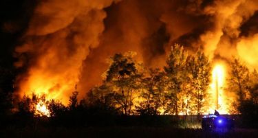 Изгоре фарма во Брвеница