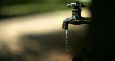 Тетовчанец пронашол паразит „коњско влакно“ во водата за пиење од тетовскиот градски водовод