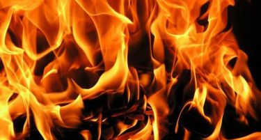Пожар во Тетовско однесе во смрт мајка и четири дечиња