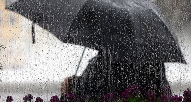 СТУДЕН БРАН: Каде „истури“ најмногу дожд денеска?