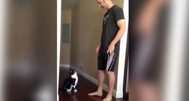 (ВИДЕО) Најубавата мачја прегратка видена некогаш!