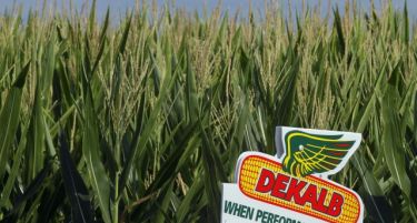 Над 2000 хектари ГМО семе ќе никне во Србија-колку е опасно тоа за нас?