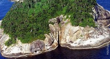 (ВИДЕО) Бразилски остров – дом на најсмртоносните змии