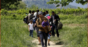 Над 95 000 бегалци влегле во Унгарија преку  Србија