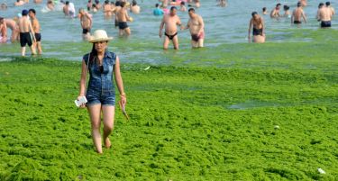 Слика на денот: Како изгледа Кинеска плажа во еден жежок ден во август 