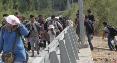 КОЈ ПОМИНАЛ, ПОМИНАЛ: Унгарија ја запечати границата за мигранти