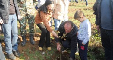 Вработените во МЕПСО масовно ја поддржаа акцијата „Ден на дрвото“ и засадија над 500 садници