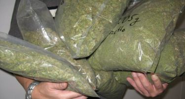 Во Албанија спречен шверц на 500 килограми марихуана