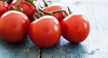 На кое дереџе е македонскиот земјоделец со цените на зеленчукот и овошјето?