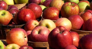 СЕ ПОДИГААТ НОВИ НАСАДИ: Карантинот донесе бенефити за овоштарите во Ресен и Преспа