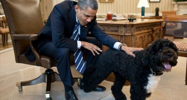 Фото: Бесната кучка на Обама