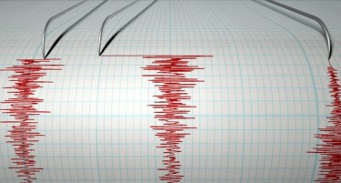 Дванаесет земјотреси утрово во повеќе земји