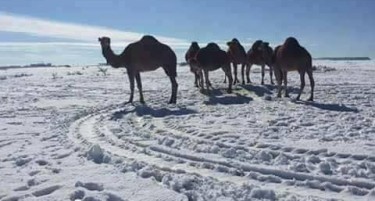 (ВИДЕО) ВОЛШЕБНО И НЕВЕРОЈАТНО: Мароко под снег