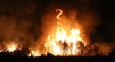 (ФОТО+ВИДЕО) ХРВАТСКА ГОРИ: Огнот се шири и може да зафати куќи