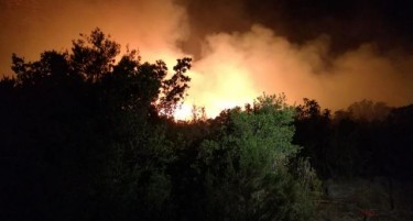 (ВИДЕО) Ноќта донесе нови пожари во Црна Гора-огнената стихија се спушта кон куќите