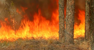 Силен пожар опасно блиску до фабрика за пиротехника во Тирана