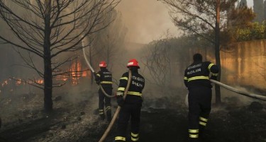 ПОЛИЦИЈАТА ГО УАПСИ: Хрват намерно предизвикал 25 пожари