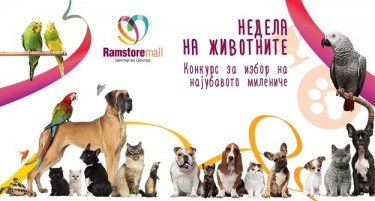Рамстор мол го одбележува Светскиот ден на животните