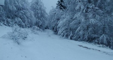 Во Хрватска паднаа 30 цм снег