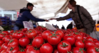 Машала: Турскиот домат повторно ќе се продава во Русија