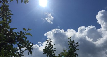 Денес не очекува ваква временска прогноза