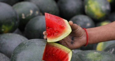 Oваа земја е лидер во светот по производство на лубеница, им се раѓаат дури 79 тони