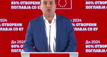 ЗАЕВ ТВРДИ: Со вакво ВМРО-ДПМНЕ преговорите би траеле 60 години