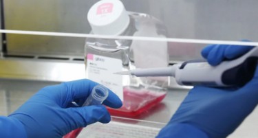 Научници најдоа уште еден коронавирус кај лилјаците