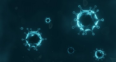 НОВИ 164 ПОЗИТИВНИ: Петмина ја изгубија битката со коронавирусот