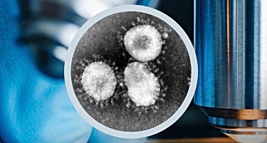 Научниците го претворија коронавирусот во интересна мелодија: Откриваат нешто што може да помогне да се најде лек