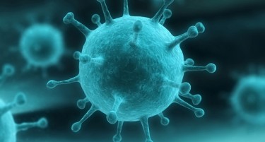Кој град има најмногу новозаболени од коронавирусот?