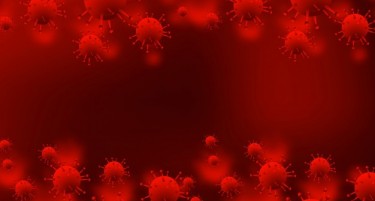 НАУЧНИЦИ ОД ПРИНСТОН: Вирусот ќе продолжи да се шири и на топлото и повлажно време