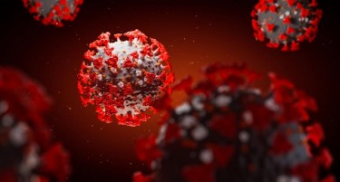 СКОРО ДВЕСТЕ МУТАЦИИ: Научници ширум светот го истражуваат коронавирусот