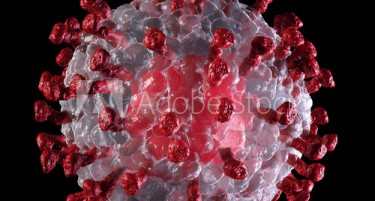 Нова верзија на коронавирус се шири низ целиот свет