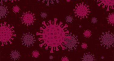 Колку оздравени имаме од коронавирусот и од кои градови се?