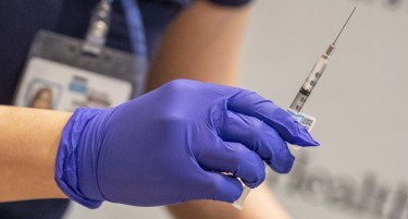 Виена започна да ја внесува вакцината во електронски здравствен пасош