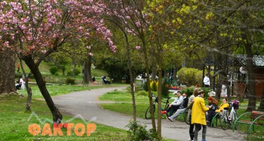 ФОТОГАЛЕРИЈА: Гужви во Градскиот парк, имаше и полиција
