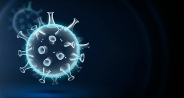 Петтиот бран на коронавирусот во Јапонија буквално исчезна