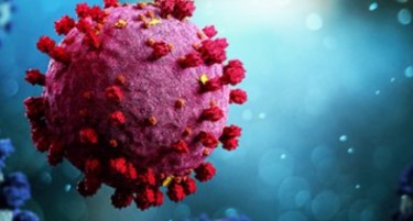 Дали омикрон стигна во Албанија?